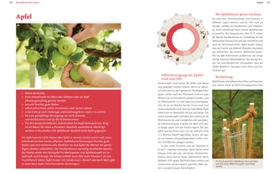 Handbuch Bio-Obst