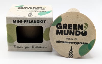 Pflanz-Kit Mittelmeerzypresse