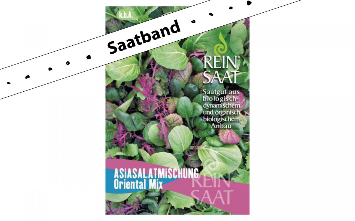 Asiasalatmischung Oriental Mix Saatband