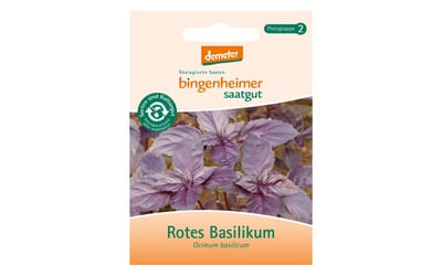 Basilikum rot
