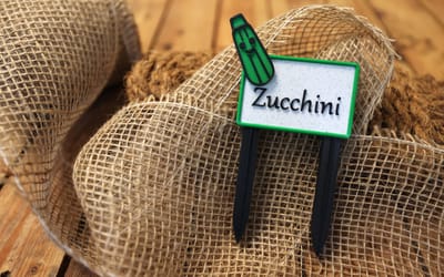 Gemüseschild Zucchini