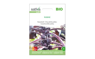 Rosenkohl Rubine