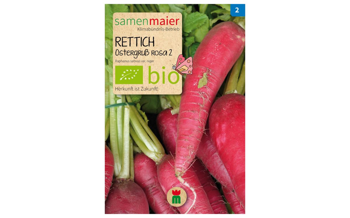 Rettich Ostergruß Rosa 2