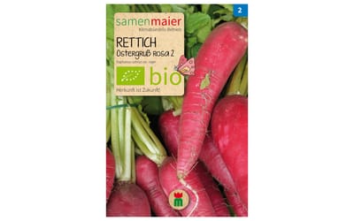 Rettich Ostergruß Rosa 2