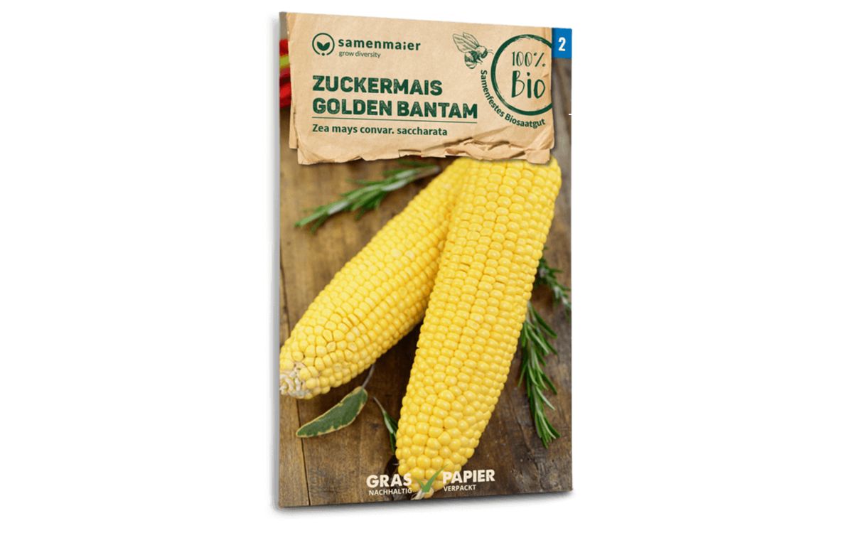 Golden Bantam