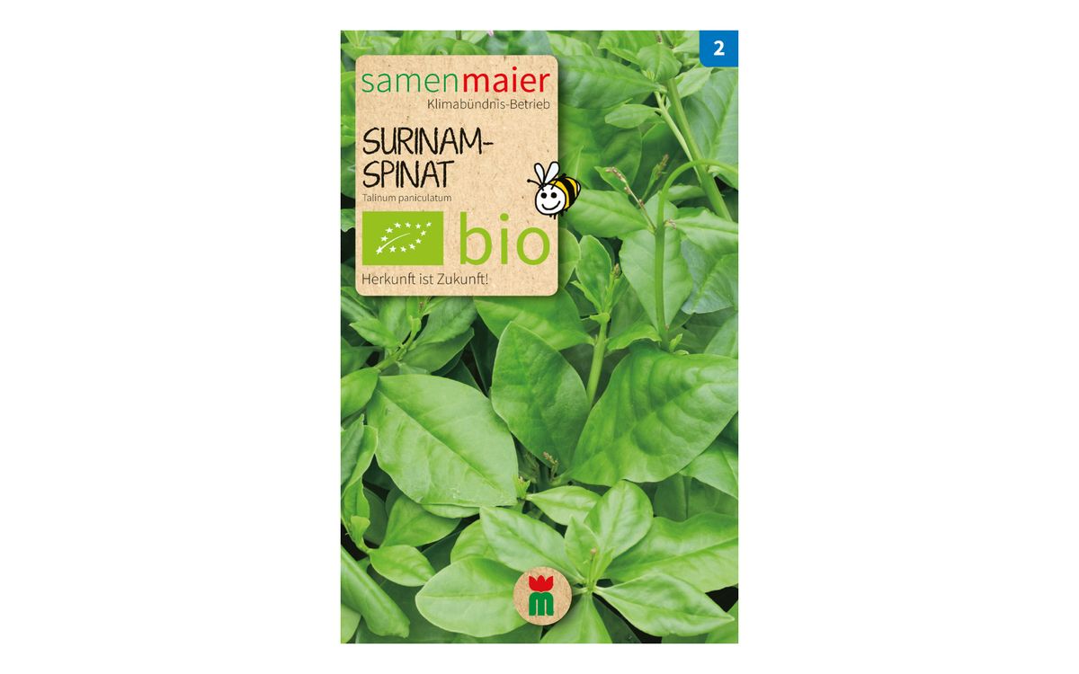 Surinam Spinat