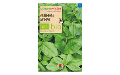 Surinam Spinat