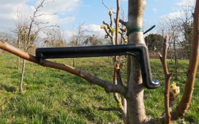 Astklammer für Saftwaagen