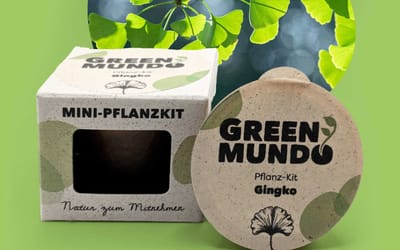 Pflanz-Kit Ginkgo-Baum