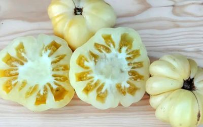 Weiß / Cremefarbige Tomatensorten
