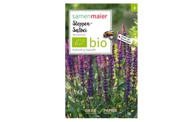 Steppen-Salbei