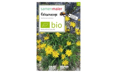 Wildblumen Ochsenauge