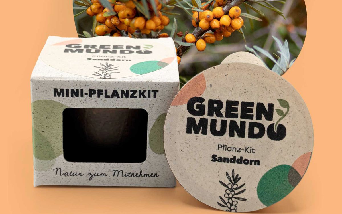 Pflanz-Kit Sanddorn