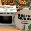 Vorschaubild 1