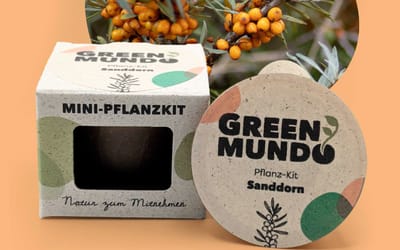 Pflanz-Kit Sanddorn
