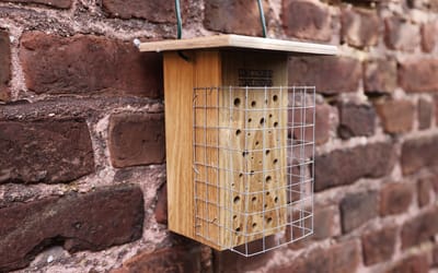 Wildbienen Nisthilfe Starter