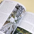 Vorschaubild 6