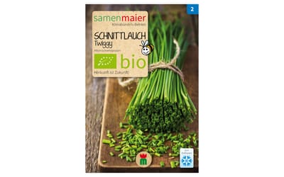 Schnittlauch Twiggy