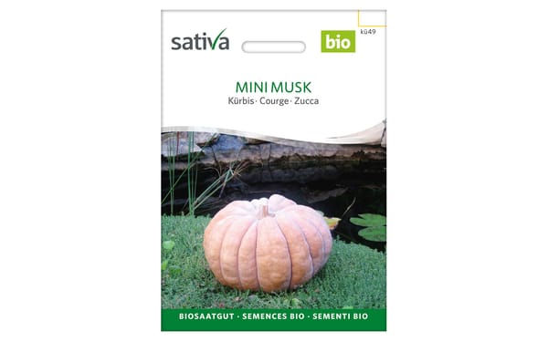 Muskatkürbis Mini Musk