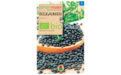 Belugalinsen