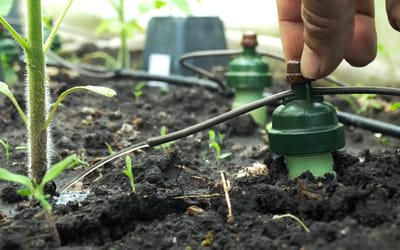 Schritt für Schritt Aufbau des Blumat Tropfsystems