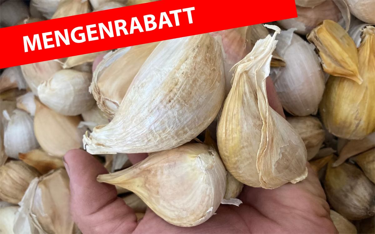 Ungarischer Elefantenknoblauch - 500 g