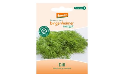 Dill - Saatgut