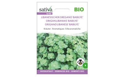 Libanesischer Oregano