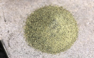 Meerwunder Seetang Granulat