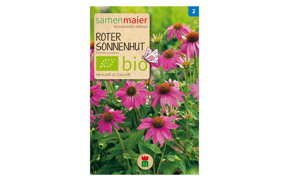 Roter Sonnenhut