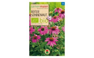 Roter Sonnenhut