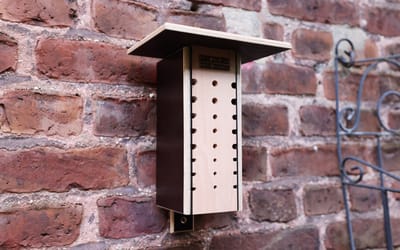 Wildbienen Beobachtungskasten
