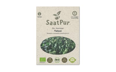 BIO-Keimsprossen Tatsoi