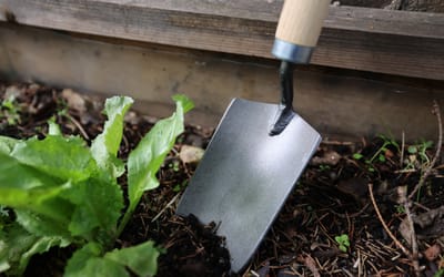 Garten-Schäufelchen