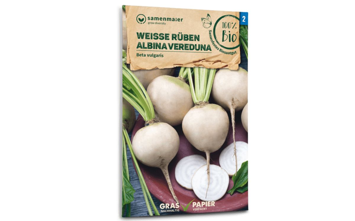 Weiße Rübe Albina Verduna