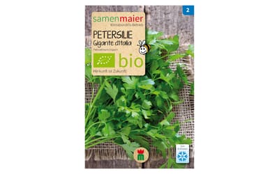 Petersilie Gigante d'Italia
