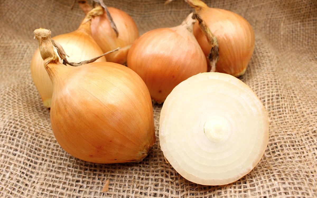 Všetana