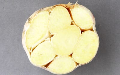 Knoblauch Makói Herbst