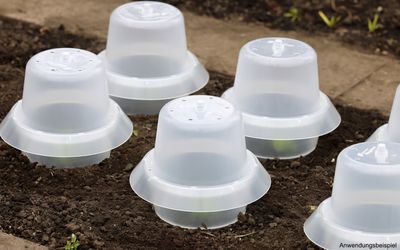 Haube für Schneckenkragen 12er Set