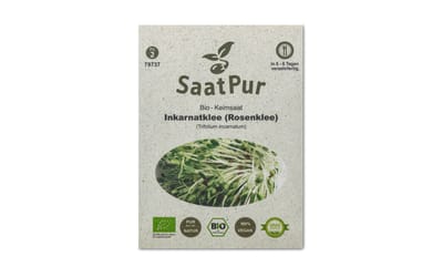BIO-Keimsprossen Inkarnatklee