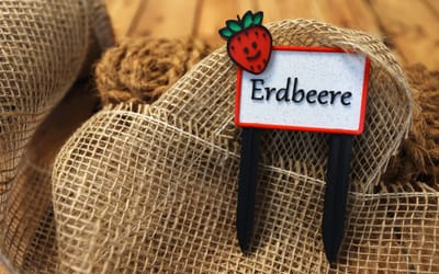 Pflanzenschild Erdbeere