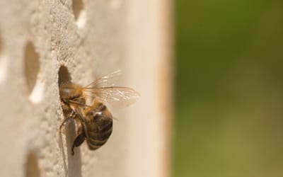 Wildbienenhaus Keramik