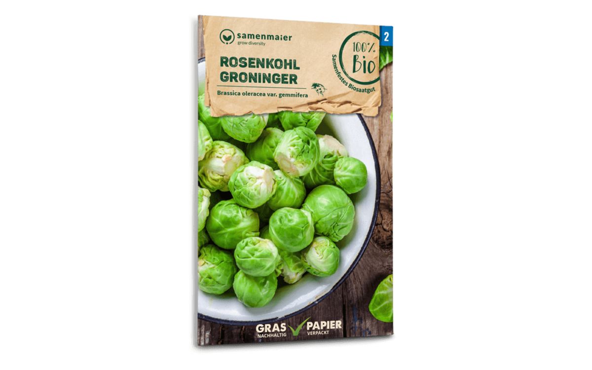 Rosenkohl Groninger