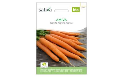 Amiva