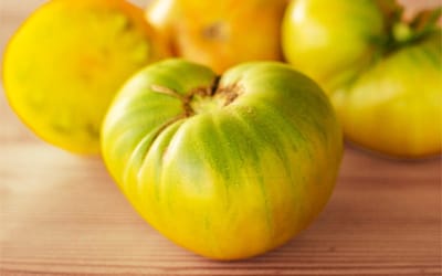 Aunt Ruby’s German Green