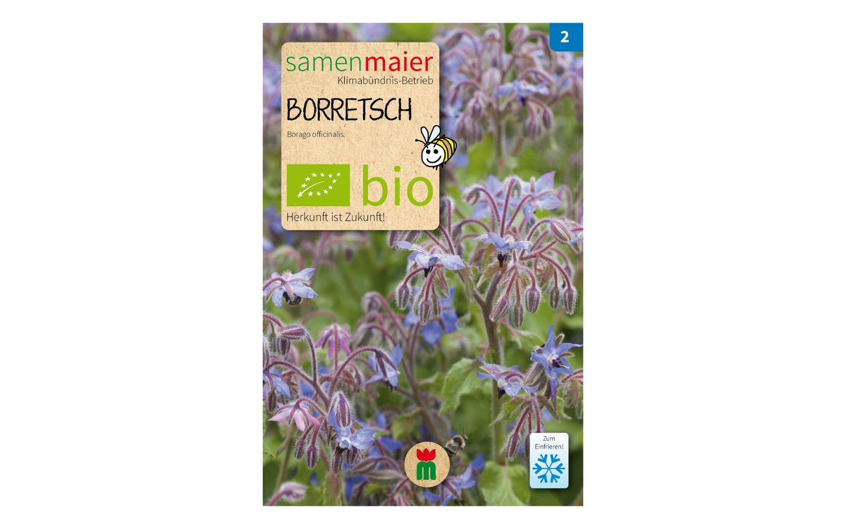 Borretsch