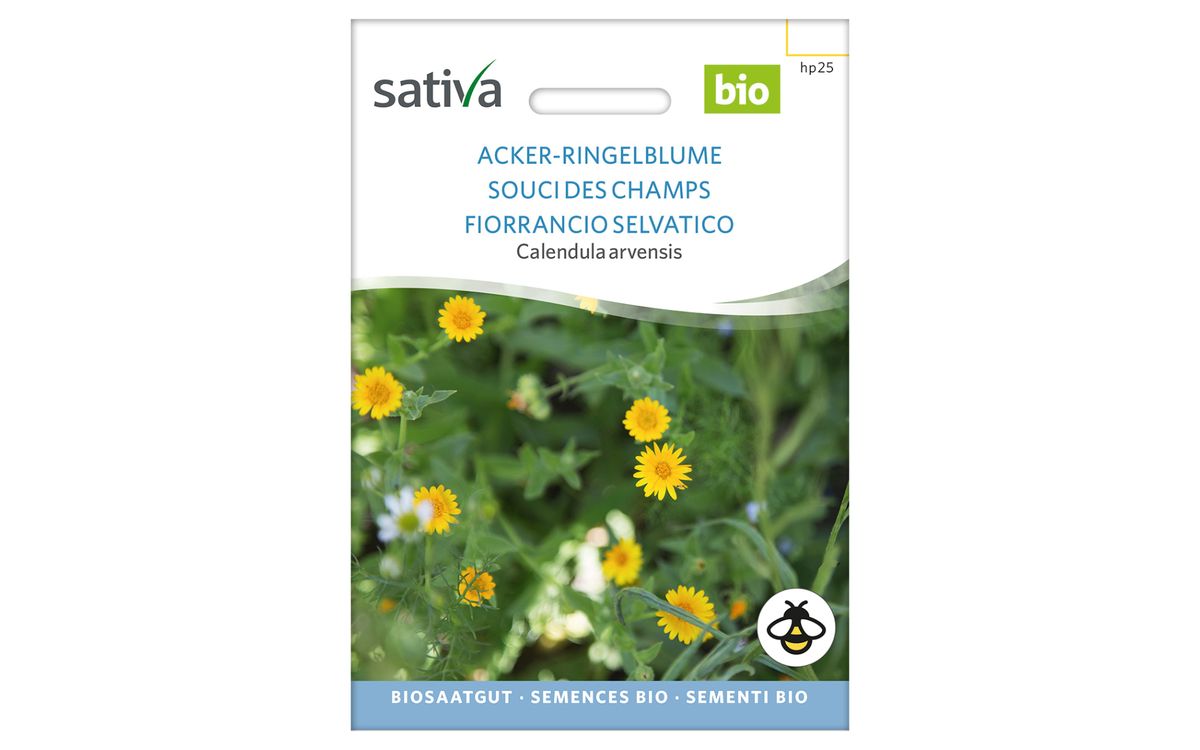 Ackerringelblume