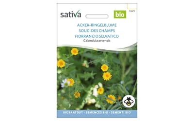 Ackerringelblume