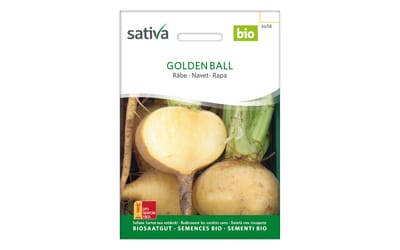 Stoppelrübe Golden Ball