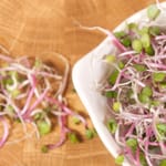 Keimsprossen und Microgreens